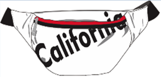 Traveler Fanny Pack- California