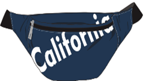 Traveler Fanny Pack- California