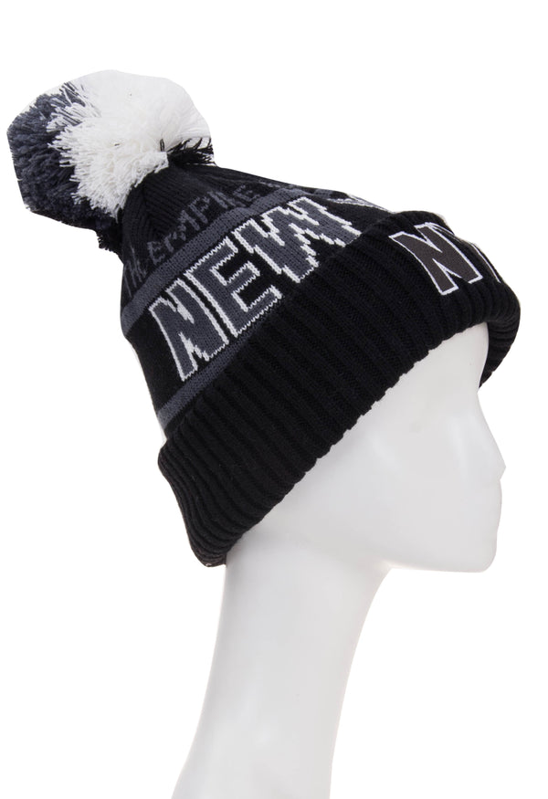 Classic Winter Beanie- NEW YORK Empire State