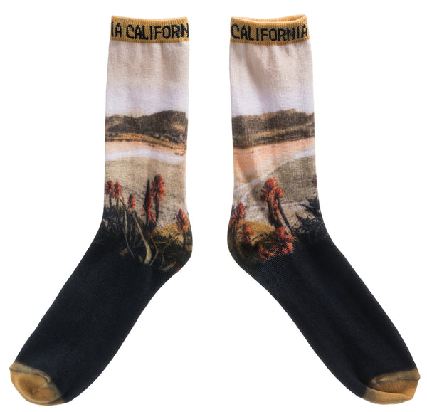 Digital Scenery Socks- California